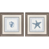 Paragon Ocean Finds II S/2 Blue 19 X 19 X 1 Wall Art