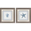 Paragon Ocean Finds II S/2 Blue 19 X 19 X 1 Wall Art