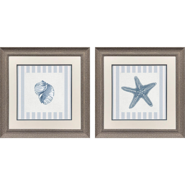 Paragon Ocean Finds II S/2 Blue 19 X 19 X 1 Wall Art