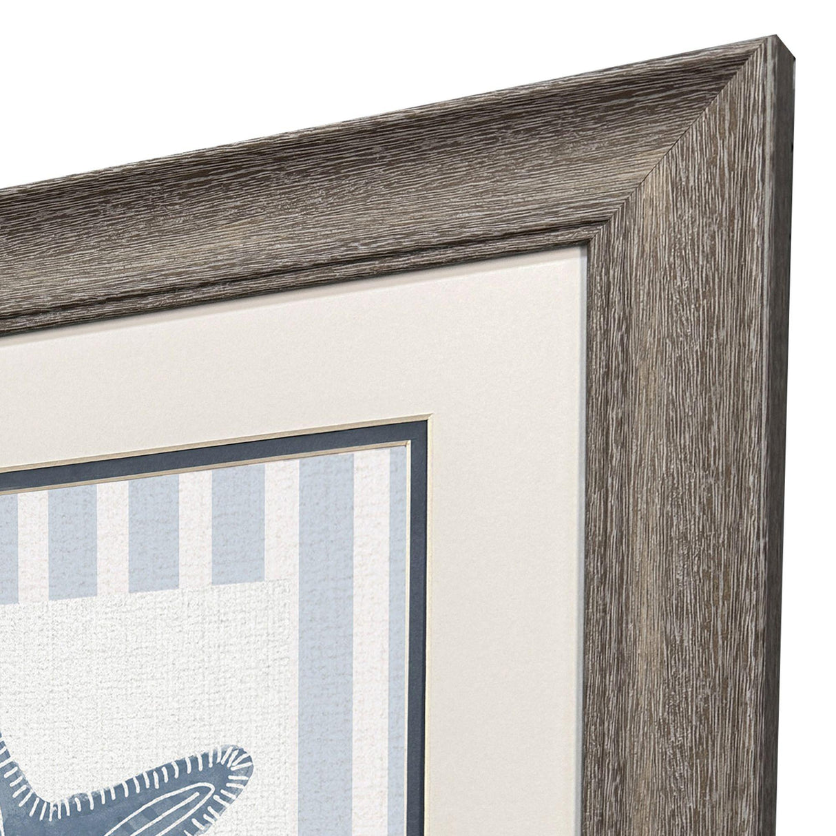 Paragon Ocean Finds II S/2 Blue 19 X 19 X 1 Wall Art
