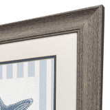 Paragon Ocean Finds II S/2 Blue 19 X 19 X 1 Wall Art