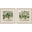 Paragon Green Blossom in Vase S/2 Green 18 X 18 X 1 Wall Art