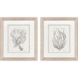 Paragon Neutral Seagrass S/2 Gray 22 X 19 X 1 Wall Art