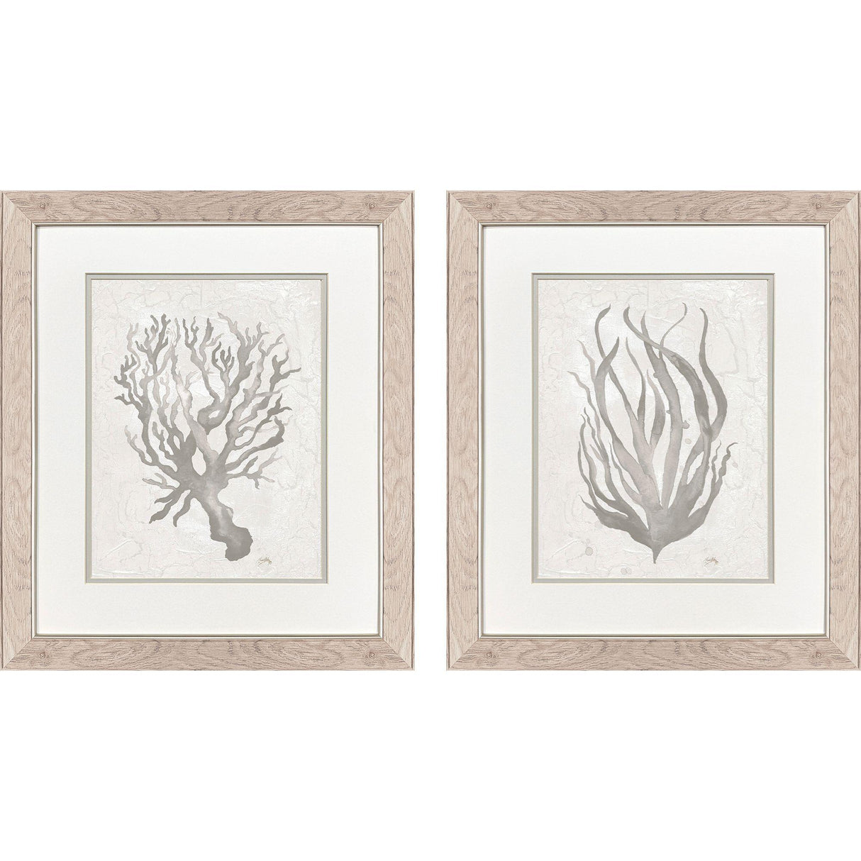 Paragon Neutral Seagrass S/2 Gray 22 X 19 X 1 Wall Art