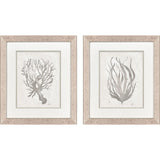 Paragon Neutral Seagrass S/2 Gray 22 X 19 X 1 Wall Art