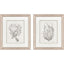 Paragon Neutral Seagrass S/2 Gray 22 X 19 X 1 Wall Art