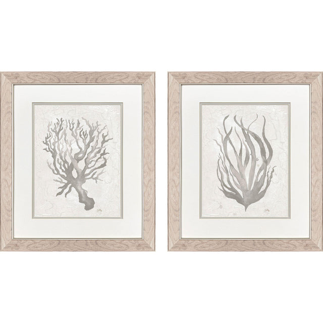 Paragon Neutral Seagrass S/2 Gray 22 X 19 X 1 Wall Art