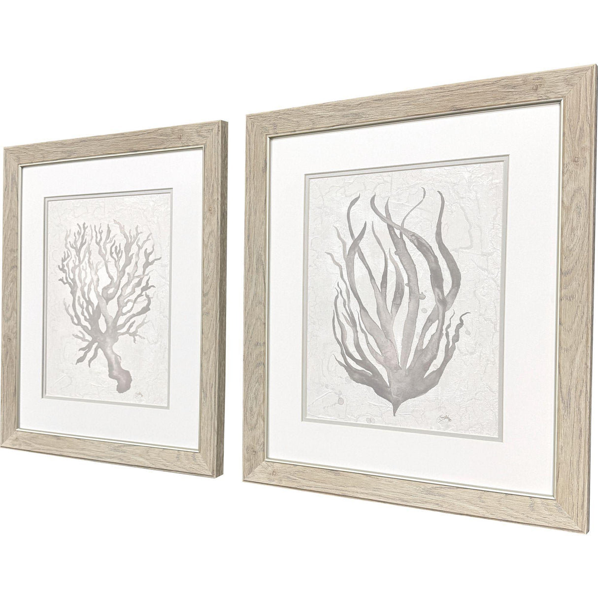Paragon Neutral Seagrass S/2 Gray 22 X 19 X 1 Wall Art