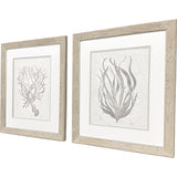 Paragon Neutral Seagrass S/2 Gray 22 X 19 X 1 Wall Art
