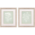 Paragon Herb S/2 Green 22 X 19 X 1 Wall Art