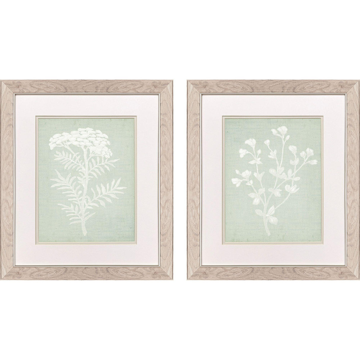 Paragon Herb S/2 Green 22 X 19 X 1 Wall Art