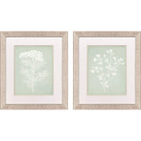 Paragon Herb S/2 Green 22 X 19 X 1 Wall Art