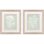 Paragon Herb S/2 Green 22 X 19 X 1 Wall Art