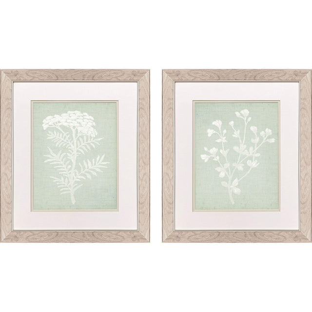 Paragon Herb S/2 Green 22 X 19 X 1 Wall Art
