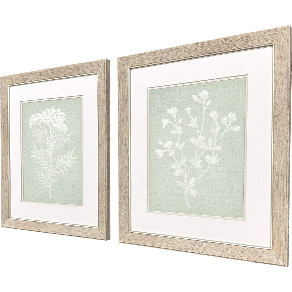 Paragon Herb S/2 Green 22 X 19 X 1 Wall Art