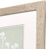 Paragon Herb S/2 Green 22 X 19 X 1 Wall Art