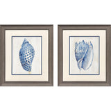 Paragon Ocean Echoes I S/2 Blue 22 X 19 X 1 Wall Art