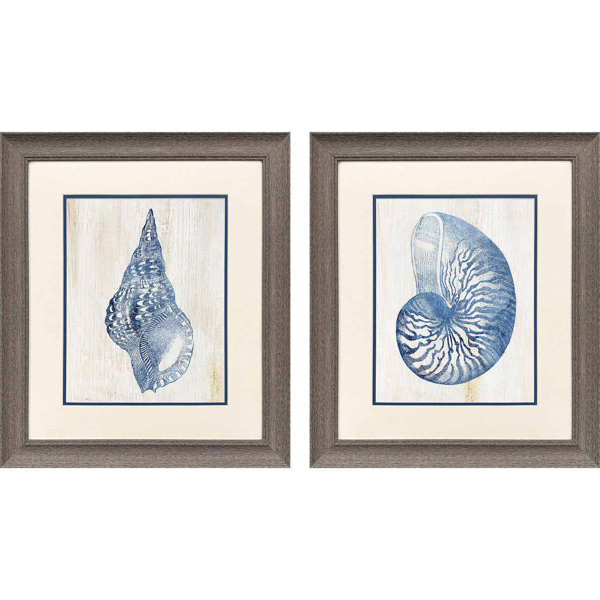 Paragon Ocean Echoes II S/2 Blue 22 X 19 X 1 Wall Art