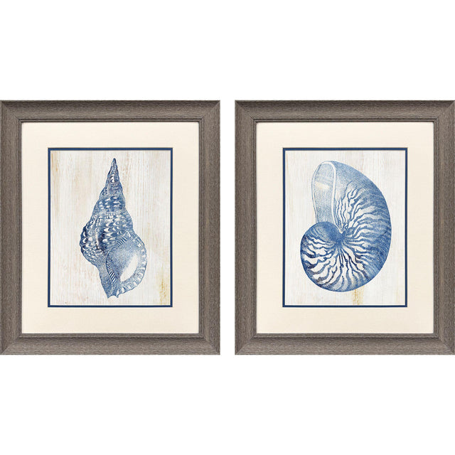 Paragon Ocean Echoes II S/2 Blue 22 X 19 X 1 Wall Art