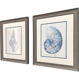 Paragon Ocean Echoes II S/2 Blue 22 X 19 X 1 Wall Art