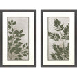 Paragon Green Leaves S/2 Green 32 X 20 X 2 Wall Art