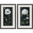 Paragon White Buds S/2 Black 32 X 20 X 2 Wall Art