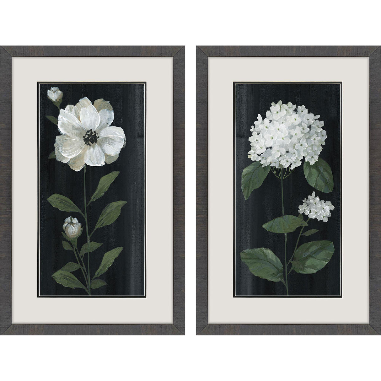 Paragon White Buds S/2 Black 32 X 20 X 2 Wall Art
