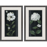 Paragon White Buds S/2 Black 32 X 20 X 2 Wall Art
