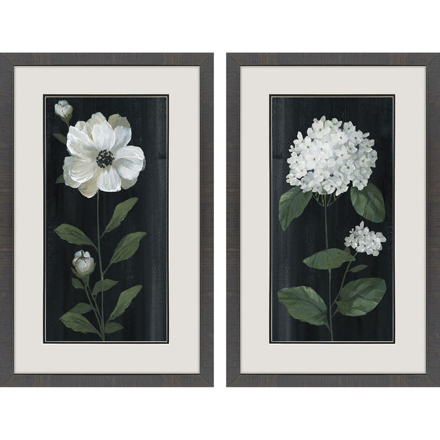 Paragon White Buds S/2 Black 32 X 20 X 2 Wall Art