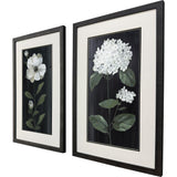 Paragon White Buds S/2 Black 32 X 20 X 2 Wall Art