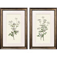 Paragon Botanical Whites S/2 Green 34 X 22 X 2 Wall Art
