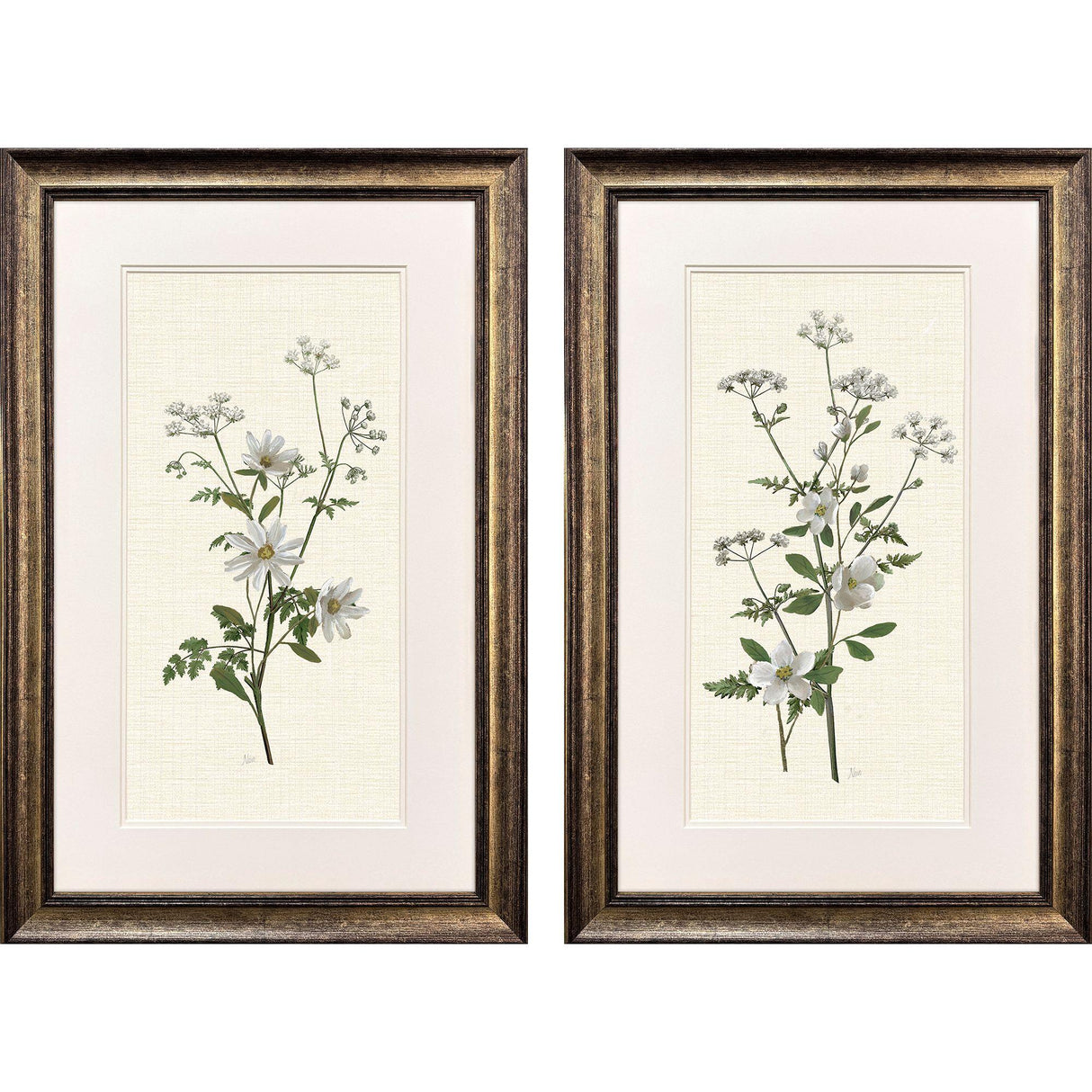 Paragon Botanical Whites S/2 Green 34 X 22 X 2 Wall Art