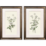 Paragon Botanical Whites S/2 Green 34 X 22 X 2 Wall Art