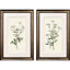 Paragon Botanical Whites S/2 Green 34 X 22 X 2 Wall Art
