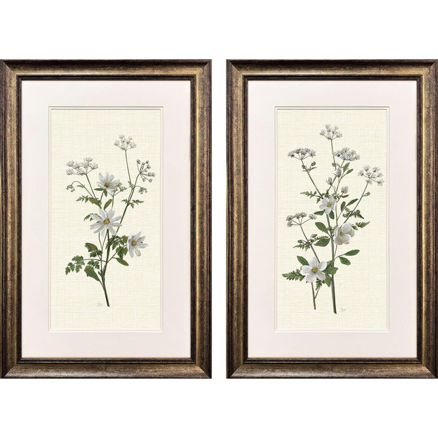 Paragon Botanical Whites S/2 Green 34 X 22 X 2 Wall Art