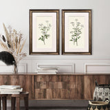 Paragon Botanical Whites S/2 Green 34 X 22 X 2 Wall Art