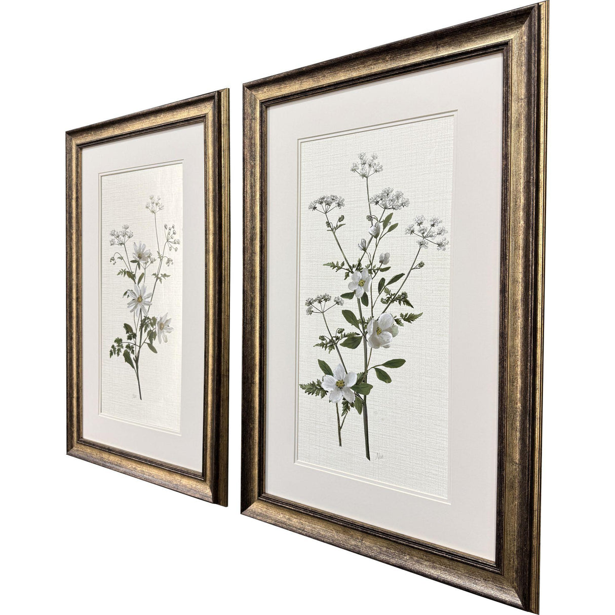 Paragon Botanical Whites S/2 Green 34 X 22 X 2 Wall Art