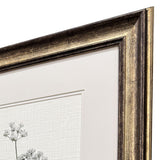 Paragon Botanical Whites S/2 Green 34 X 22 X 2 Wall Art