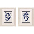 Paragon Indigo Botanic S/2 Blue 11 X 09 X 1 Wall Art