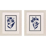 Paragon Indigo Botanic S/2 Blue 11 X 09 X 1 Wall Art