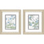 Paragon Summer Botanicals S/2 Blue 12 X 10 X 1 Wall Art