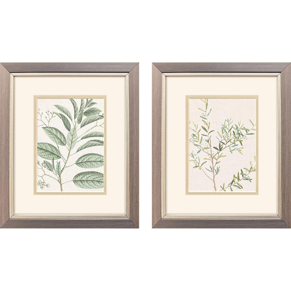 Paragon Branch S/2 Green 11 X 09 X 1 Wall Art