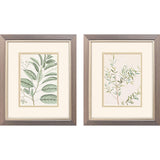 Paragon Branch S/2 Green 11 X 09 X 1 Wall Art