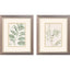 Paragon Branch S/2 Green 11 X 09 X 1 Wall Art