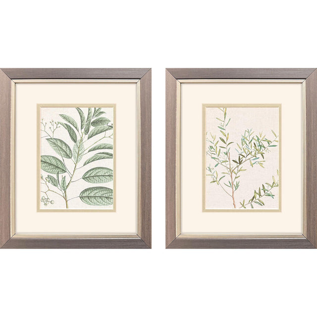 Paragon Branch S/2 Green 11 X 09 X 1 Wall Art
