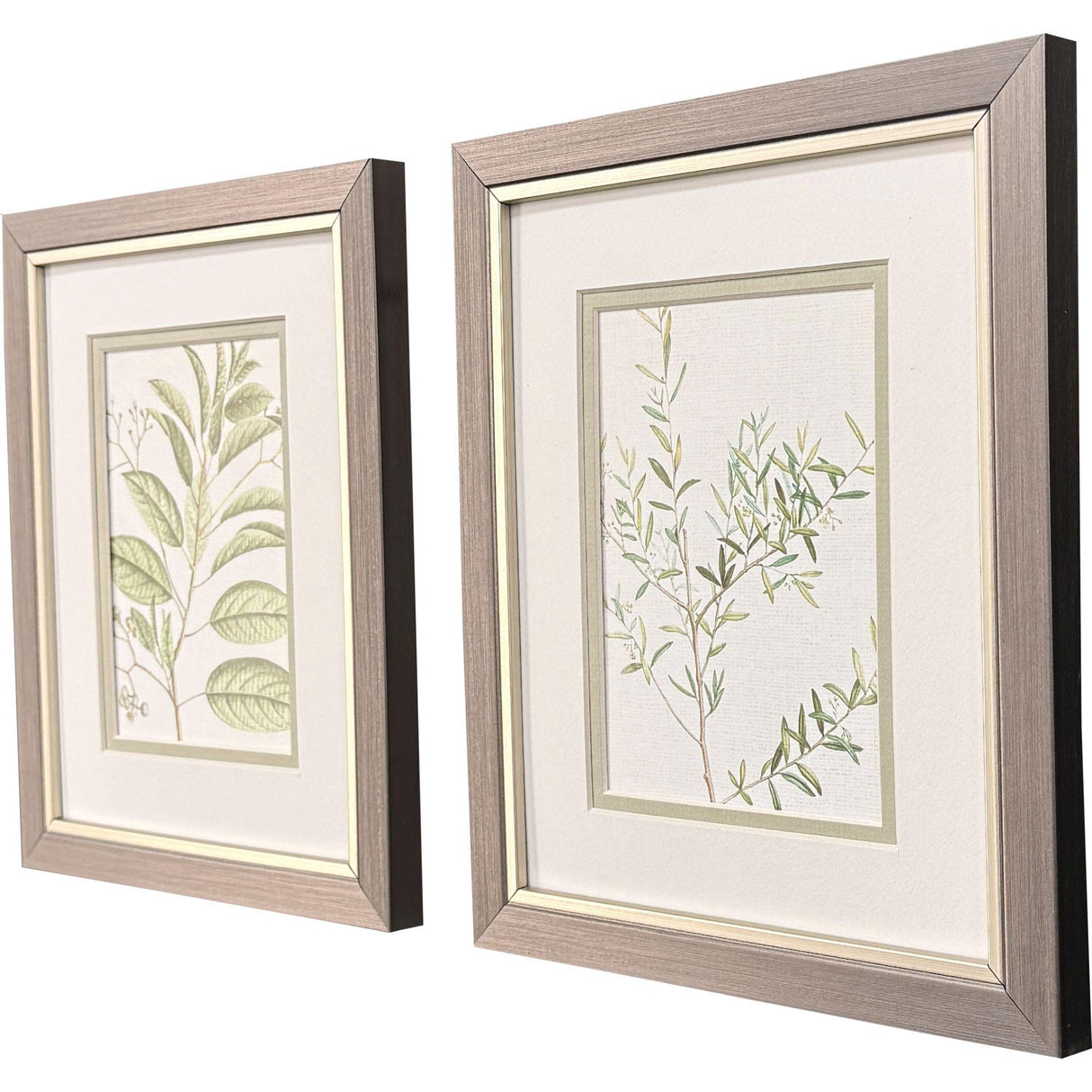 Paragon Branch S/2 Green 11 X 09 X 1 Wall Art