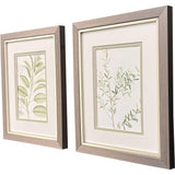 Paragon Branch S/2 Green 11 X 09 X 1 Wall Art