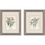 Paragon Blue Cosmos S/2 Blue 11 X 09 X 1 Wall Art