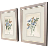 Paragon Blue Cosmos S/2 Blue 11 X 09 X 1 Wall Art