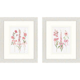 Paragon Wildflowers and Bows S/2 Pink 11 X 09 X 1 Wall Art